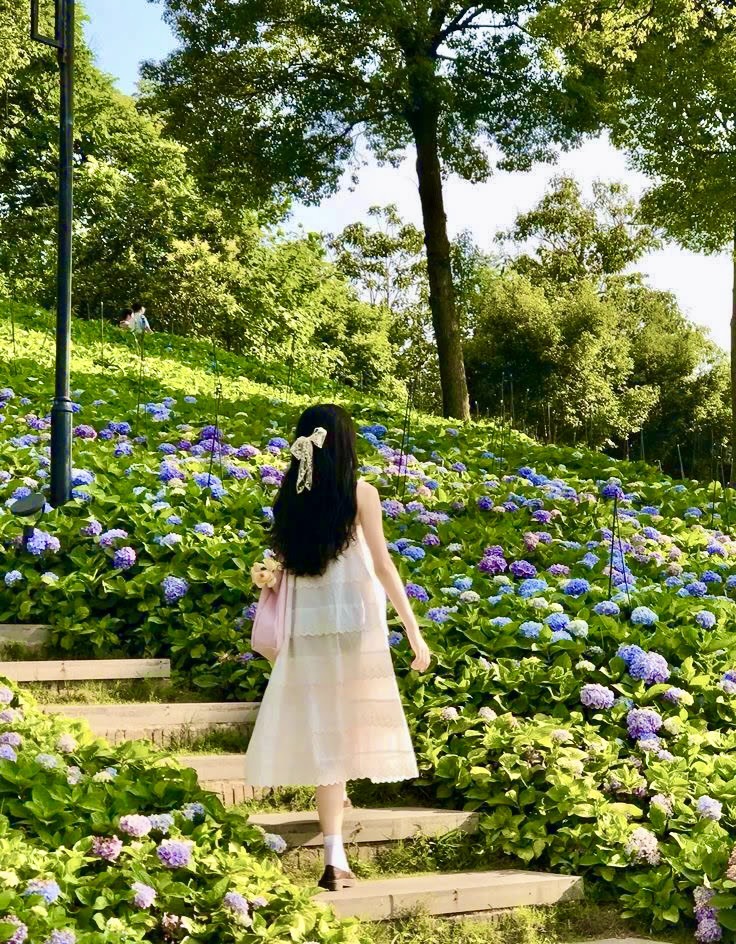 THẦN TÀI CỦA TÔI ĐẾN RỒI